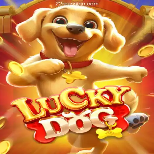 Discover the Excitement of LuckyDog: An Insight into Brazil's Premier Online Casino Experience